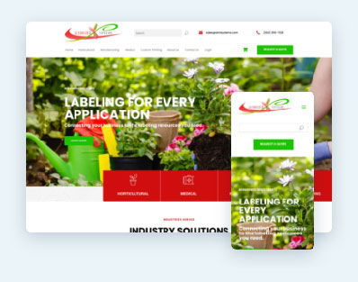 Custom Website Design Example 6